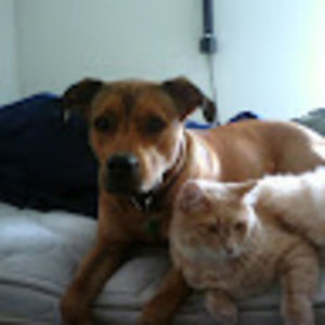 Meet your Posher, Uilleam